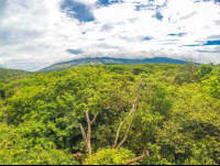        Rincon De La Vieja Volcano Cloudy Day View At The White River Canyon Zip Line Rincon De La Vieja
  - Costa Rica