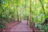        Buried Cement Block Trail Arenal Hanging Bridges Mistico Park
  - Costa Rica