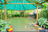        Covered Hot Spring Pool Blue River Resort
  - Costa Rica