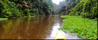        tortuguero national park attraction canoe canal 
  - Costa Rica