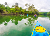        On The Canal Kayaking Platanares Mangroves In Puerto Jimenez
  - Costa Rica