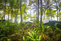        La Leona Coastal View From Tents Costa Rica
  - Costa Rica