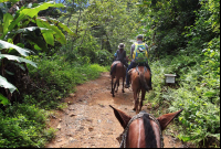        nauyaca waterfalls horses 
  - Costa Rica