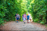        Sloth Trail Manuel Antonio National Park Sloth Trail
  - Costa Rica