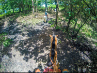        At The Tip Of A Hill Drapped In Forest Horseback Riding Rincon De La Vieja
  - Costa Rica