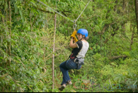        Woman Riding A Zip Line Cable Blue River Zipline Rincon De La Vieja
  - Costa Rica