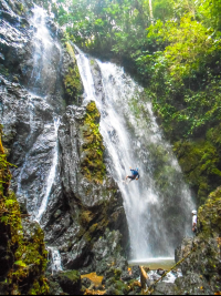        Horseback Rapelling Tour Rancho Tropical Matapalo Man Rappelling Middle
  - Costa Rica