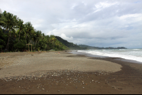        hotel domilocos dominical beach 
  - Costa Rica