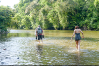        Hiking On Rio Claro Toward Its Rivermouth Corcovado National Park
  - Costa Rica