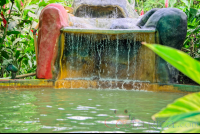        Blue River Resort Hot Spring Pool With Cascade
  - Costa Rica