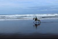        discovery horseback tour the beach 
  - Costa Rica