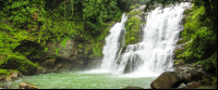        nauyaca waterfalls cascades 
  - Costa Rica