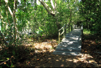        cahuita national park attraction page marsh bridge 
  - Costa Rica
