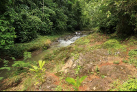        bijagual tour tarcolitos 
  - Costa Rica