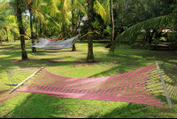        turtle beach lodge hammocks 
  - Costa Rica