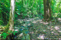        Creek
  - Costa Rica
