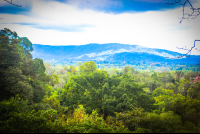        Mountain View Osa Palmas Canopy Tour
  - Costa Rica