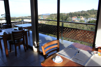        ficus restaurant 
  - Costa Rica