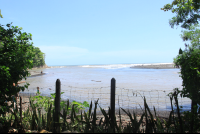        boca nosara stable view
  - Costa Rica