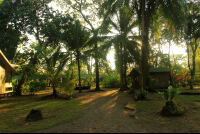        mawamba grounds 
  - Costa Rica