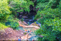        Cold Water River View With A Warm Pool Hot Springs Pools Rincon De La Vieja
  - Costa Rica