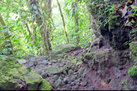        rocky trail arenal volcano  eruption site lookout point
  - Costa Rica