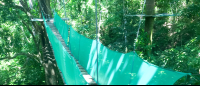        Hanging Bridge Canopy Mal Pais
  - Costa Rica