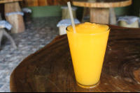        papaya batido 
  - Costa Rica