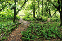        hot springs lodge trail 
  - Costa Rica