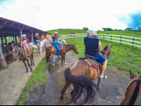        Stable Horseback Ride Western Side Of Rincon De La Vieja Volcano
  - Costa Rica
