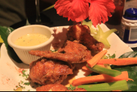        outback jacks wings 
  - Costa Rica