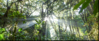        santa elena sunrise 
  - Costa Rica