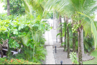        borrancho walkways 
  - Costa Rica