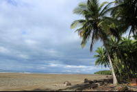        ballena national marine park uvita beach 
  - Costa Rica