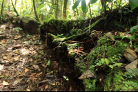        pocosol station trail 
  - Costa Rica