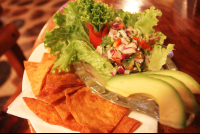        red snapper ceviche kayasol 
  - Costa Rica
