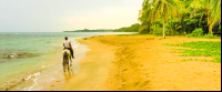        terraventuras beach horseback ride cocles 
  - Costa Rica