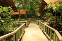        anhinga lodge path 
  - Costa Rica