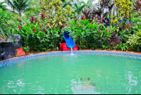        Blue River Resort Hot Spring Cement Pool With Water Slide
  - Costa Rica