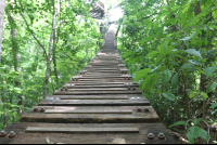        suspension bridge wingnuts canopy 
  - Costa Rica