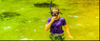        caribbean adventure snorkeling dolphin watching  snorkeling 
  - Costa Rica