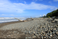        surf shak beach 
  - Costa Rica