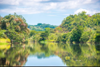        Sierpe Canal Reflexions Going To Chocuaco Waterfalls
  - Costa Rica