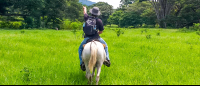        Horseback Riding In Flat Land
  - Costa Rica