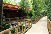        evergreen lodge rooms 
  - Costa Rica