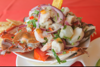        Seafood Cocktail Close Up
  - Costa Rica