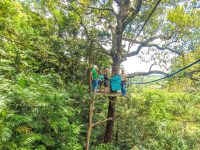        Tree Platform Tizati Zip Line Rincon De La Vieja
  - Costa Rica