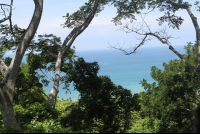        panoramic wingnutscanopytour 
  - Costa Rica