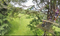        Tree Platform Blue River Zipline
  - Costa Rica