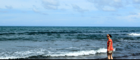        tortuguero beach attraction water 
  - Costa Rica